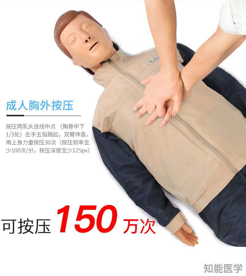 心肺复苏模型