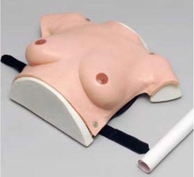 乳房检查模型
