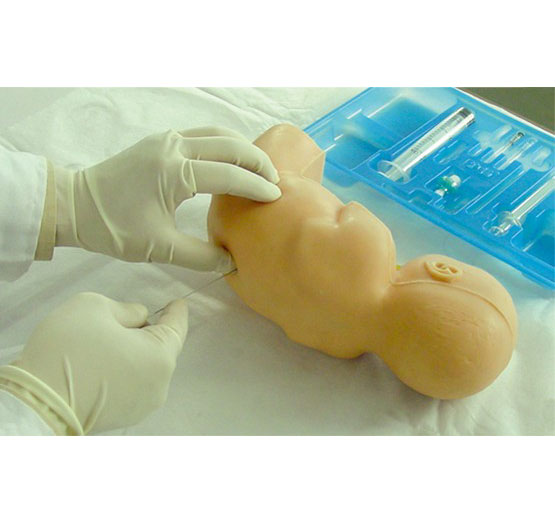 新生儿腰穿刺模型（BIX-CK34001）